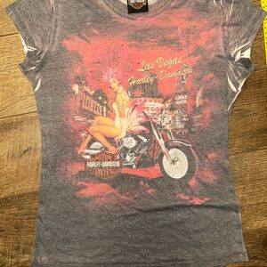 Harley-Davidson Gray and Pink Graphic T-Shirt